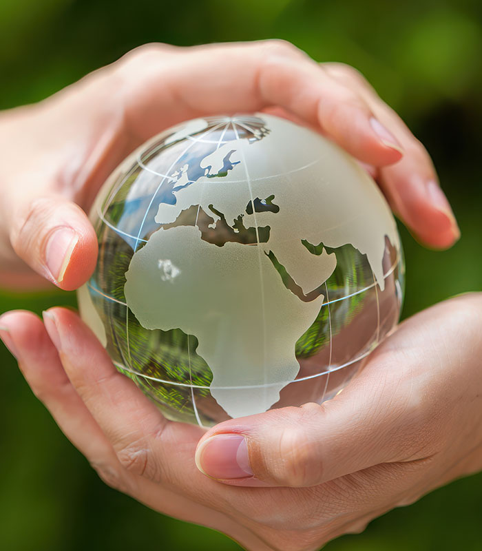 International Client Services